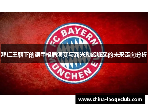 拜仁王朝下的德甲格局演变与新兴劲旅崛起的未来走向分析