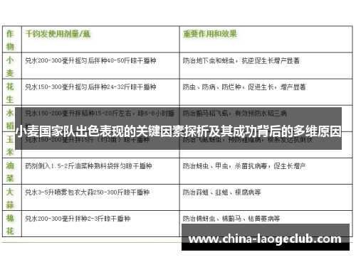 小麦国家队出色表现的关键因素探析及其成功背后的多维原因